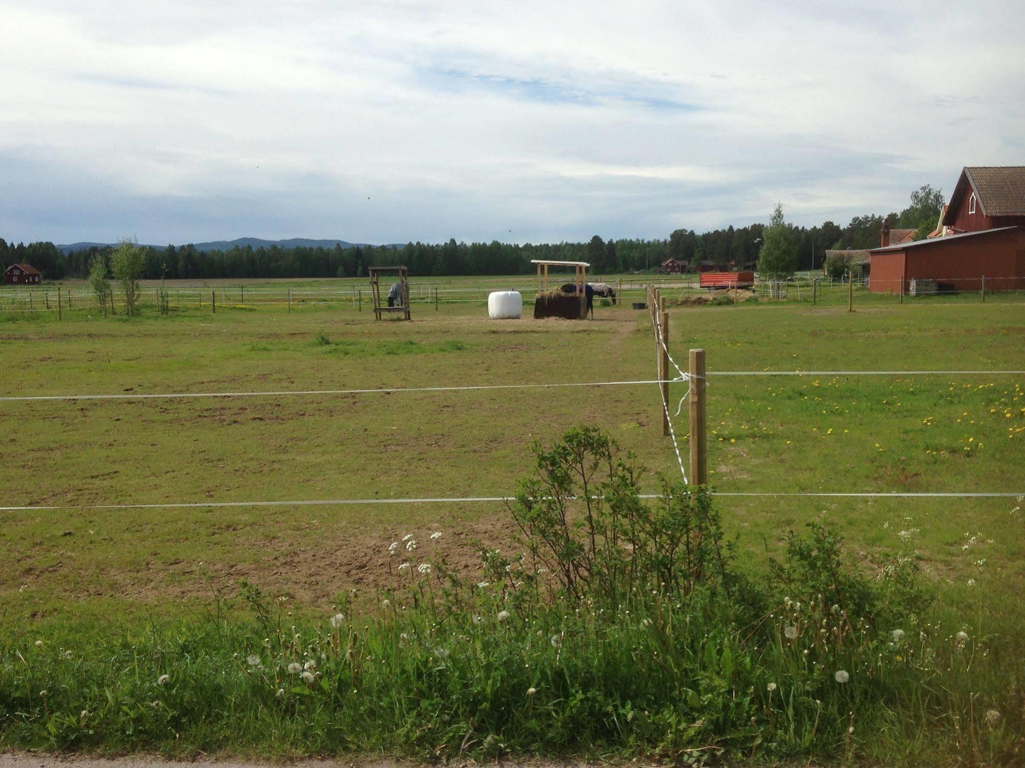 Mora Vandrarhem Och Gaesthem Vinas Exterior photo